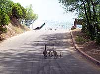 Apparently ramps are not...