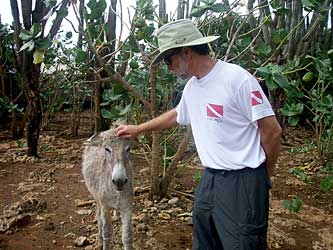 Mike finds a friend.