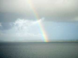 When it rains you get... 