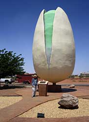 Giant nut and friend.