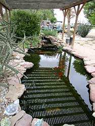 KOA koi pond.