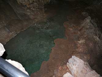 Drip pool.