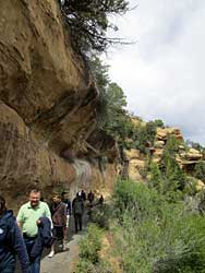 This is the EASY trail!