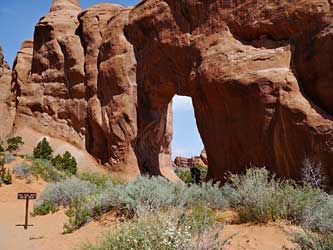 Pine Tree Arch.