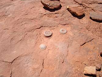 Dinosaur 'eggs' (NOT). 
