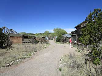 Animal ghost town.