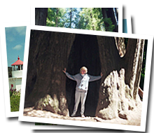 2000: California Coast